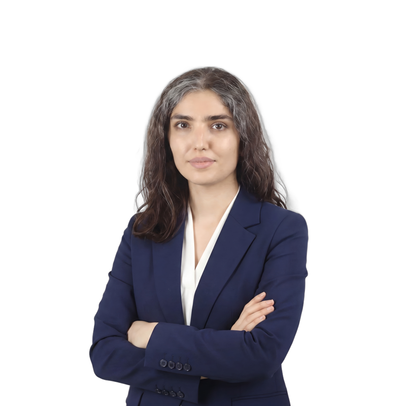 Elham Sedighipoor