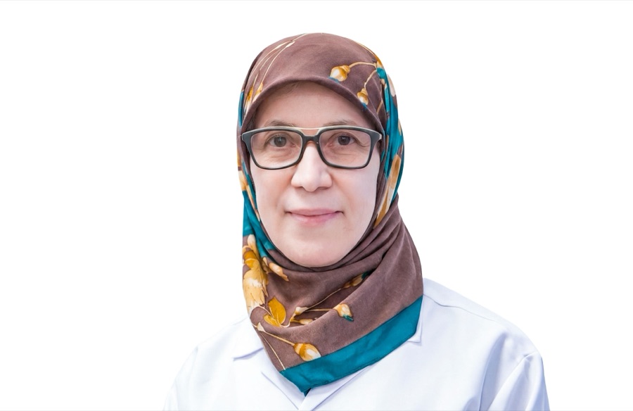 Dr. Shadan Abdulazeez Mohammed
