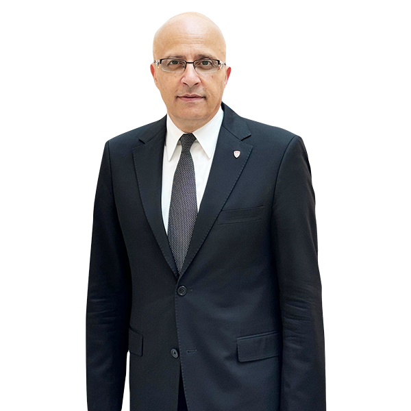 Prof. Dr Hani A. Salam