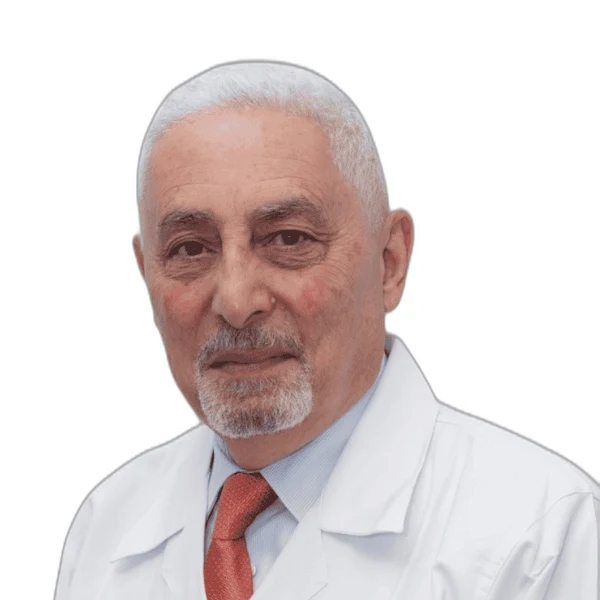 Mostafa I. Abuzeid