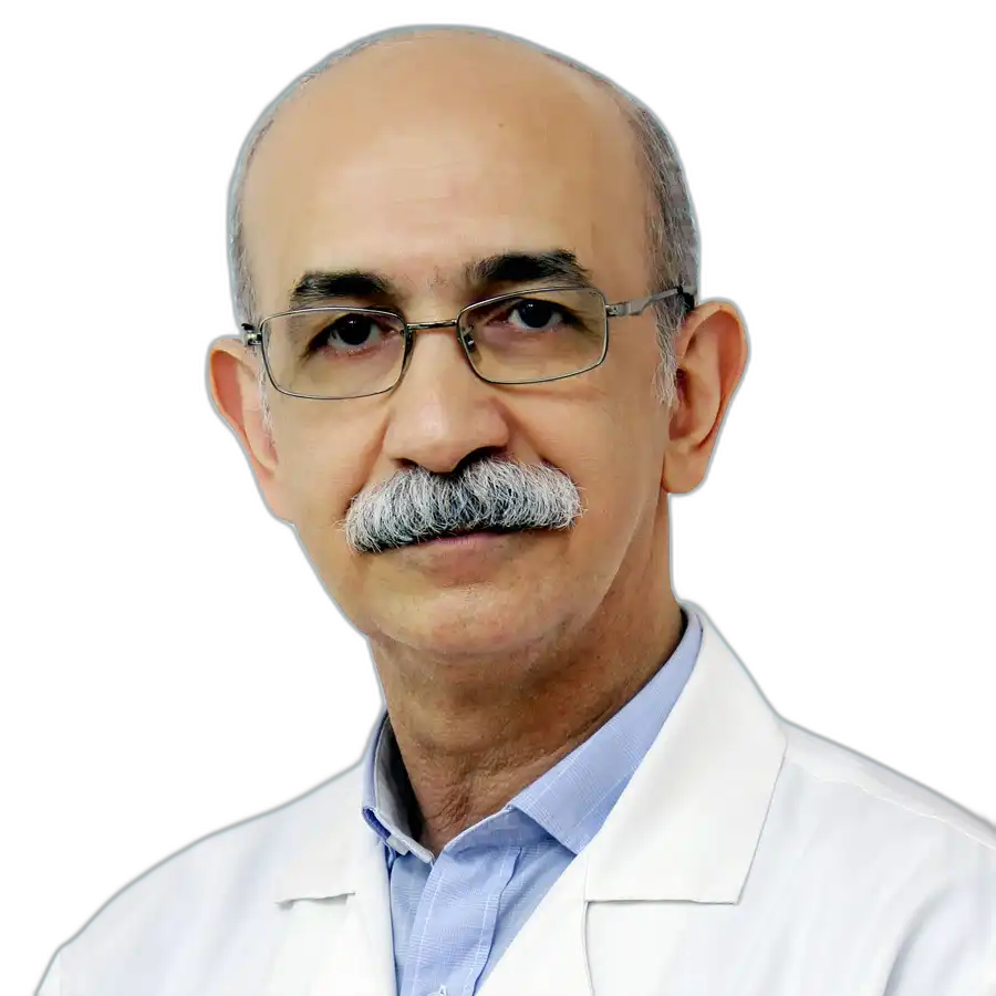 Houshiar Sijani