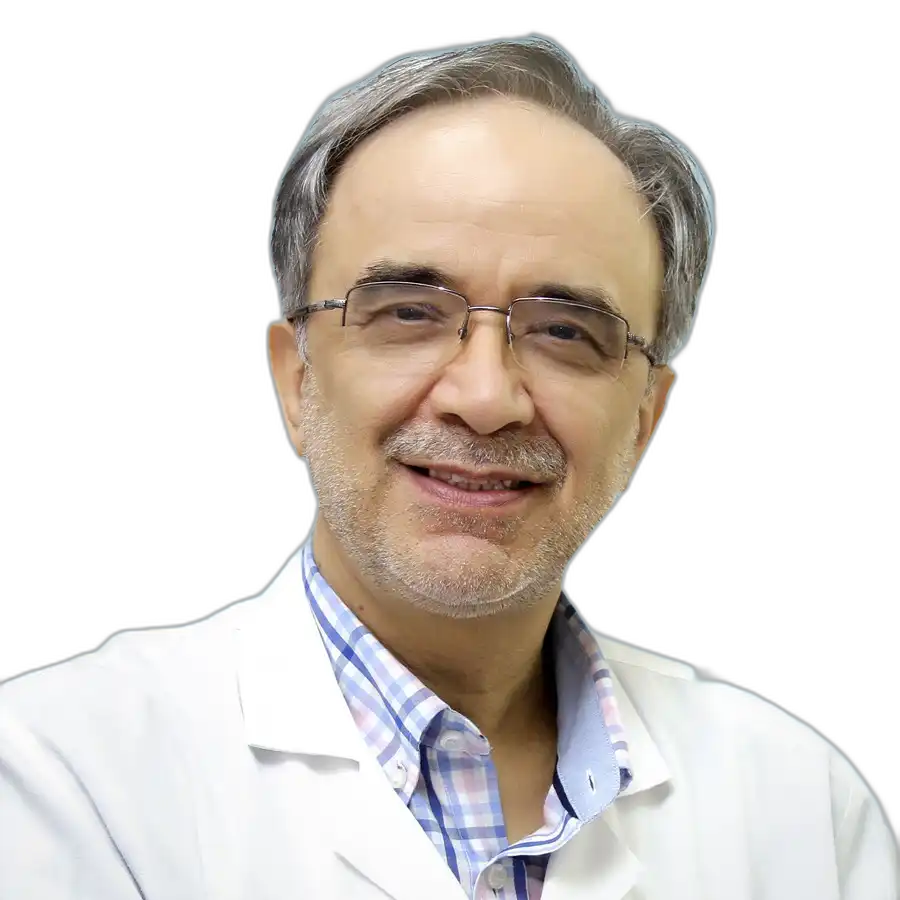 Seyed Mostafa Hosseini