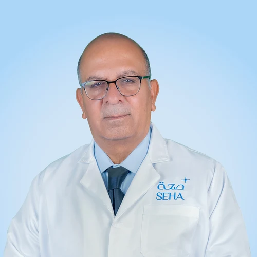 Salaheldin Khalil Issa